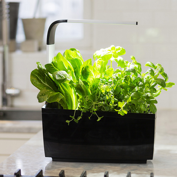 Умный сад Tregren T6 Kitchen Garden (Black) купить в интернет-магазине icover