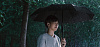 Зонт Xiaomi MiJia Automatic Umbrella JDV4002TY (Black) купить в интернет-магазине icover