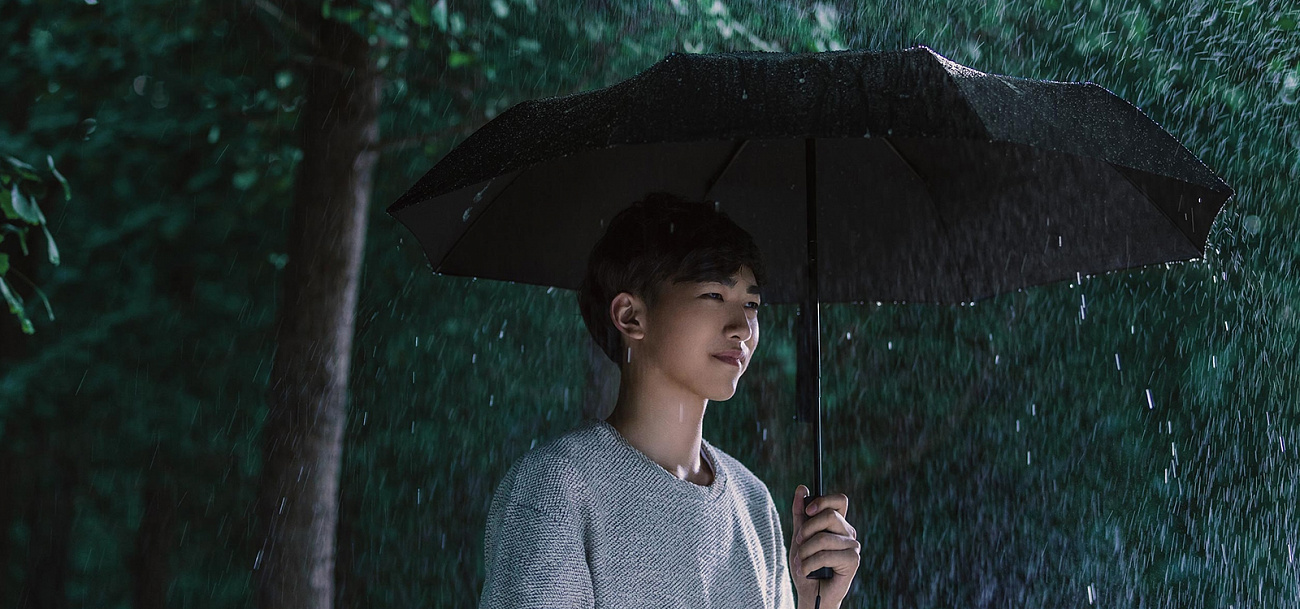 Зонт Xiaomi MiJia Automatic Umbrella JDV4002TY (Black) купить в интернет-магазине icover