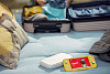 Игровая консоль Nintendo Switch Lite 45496453121 (Зэйшиан и Земазента) купить в интернет-магазине icover