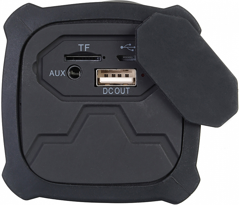 Портативная акустика Digma S-21 (Black) купить в интернет-магазине icover