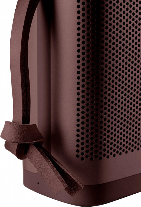 Портативная акустика Bang & Olufsen BeoPlay P6 (Chestnut) купить в интернет-магазине icover