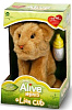 WowWee Alive Mini Lion Cub (01.03.9200) - интерактивная игрушка купить в интернет-магазине icover