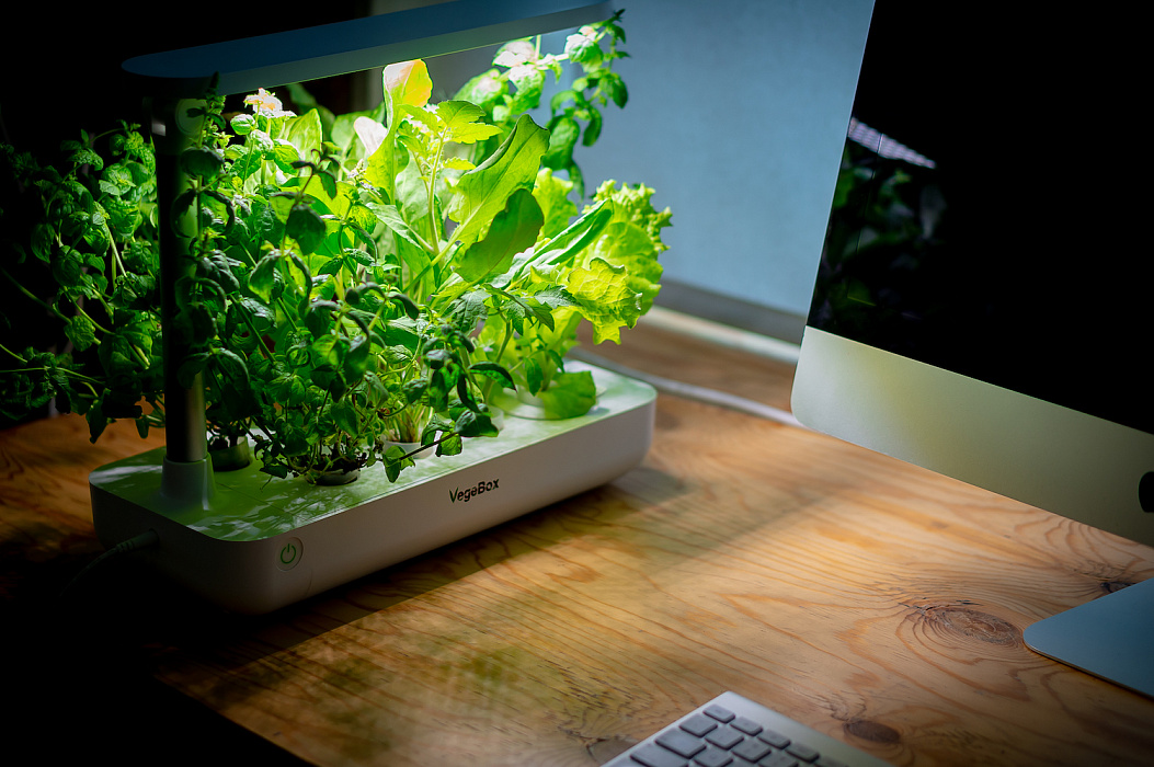 Домашняя ферма VegeBox T-Box (White) купить в интернет-магазине icover