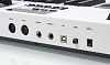 M-Audio CODE 61 - MIDI-клавиатура (White) купить в интернет-магазине icover