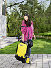 Подметальная машина Karcher S 4 (1.766-320.0) купить в интернет-магазине icover
