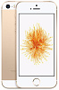 Смартфон Apple iPhone SE 32 Gb 4 (Gold) купить в интернет-магазине icover