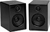 Audioengine A2+ - акустическая система (Black) купить в интернет-магазине icover