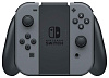 Игровая консоль Nintendo Switch (711583170225) Mario Kart 8 Deluxe (Grey) купить в интернет-магазине icover
