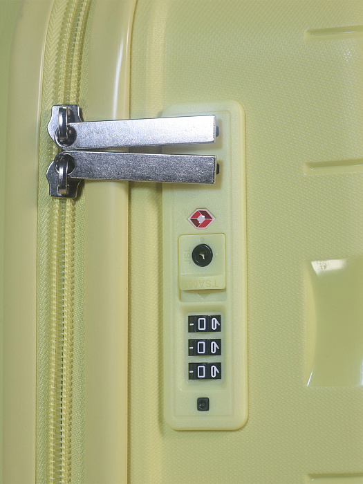 Чемодан Ridberg ICON (Yellow) размер M купить в интернет-магазине icover