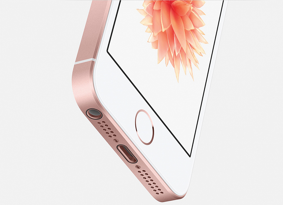 Смартфон Apple iPhone SE 16Gb 4 (Rose gold) купить в интернет-магазине icover