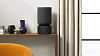 Беспроводная акустическая система Bang & Olufsen BeoSound Balance (Black Oak) купить в интернет-магазине icover