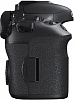 Фотоаппарат Canon EOS 7D Mark II Body купить в интернет-магазине icover