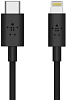 Кабель для iPod, iPhone, iPad Belkin Boost Charge USB-C/Lightning 1.2m F8J239bt04-BLK (Black) купить в интернет-магазине icover