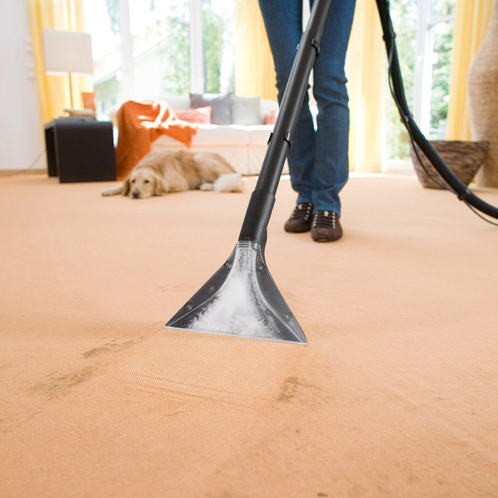 Пылесос моющий Karcher SE 4001 Plus LE (1.081-138.0) купить в интернет-магазине icover