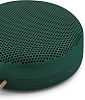 Портативная акустика Bang & Olufsen BeoPlay A1 (Pine) купить в интернет-магазине icover