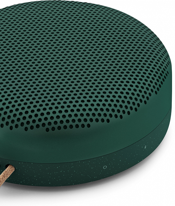 Портативная акустика Bang & Olufsen BeoPlay A1 (Pine) купить в интернет-магазине icover