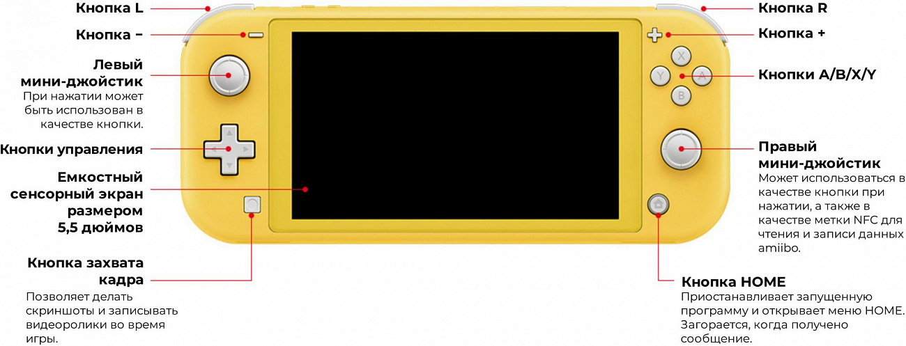 Игровая консоль Nintendo Switch Lite 45496453121 (Зэйшиан и Земазента) купить в интернет-магазине icover