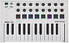 MIDI-клавиатура Arturia MiniLab MkII (MCI54480) купить в интернет-магазине icover