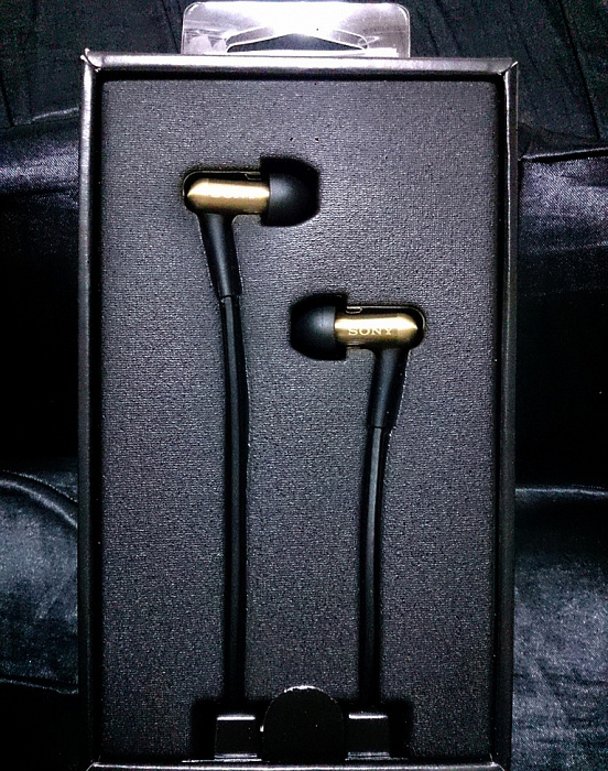 Sony XBA-100 - внутриканальные наушники (Gold) купить в интернет-магазине icover