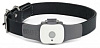 Snaptracs Tagg — The Pet Tracker - GPS-трекер для поиска животных купить в интернет-магазине icover