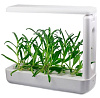 Настольная ферма VegeBox K-Box (White) купить в интернет-магазине icover