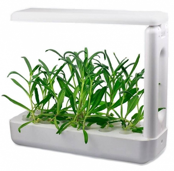 Настольная ферма VegeBox K-Box (White) купить в интернет-магазине icover