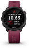 Умные часы Garmin Forerunner 245 GPS 010-02120-11 (Black/Berry) купить в интернет-магазине icover