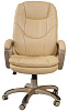 Бюрократ CH-868YAXSN - кресло руководителя (Beige) купить в интернет-магазине icover