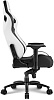 Игровое кресло Sharkoon Skiller SGS4 (Black/White) купить в интернет-магазине icover