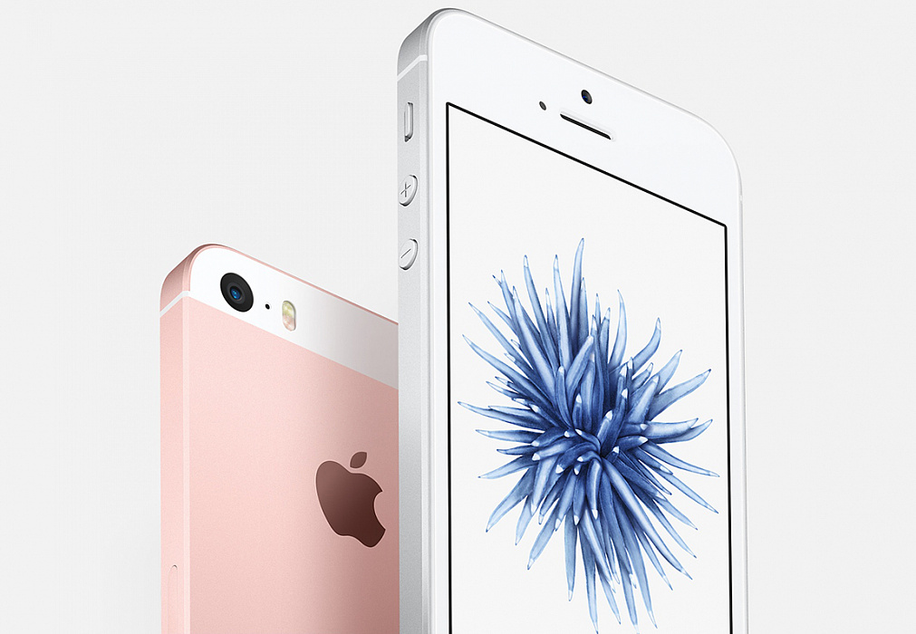 Смартфон Apple iPhone SE 16Gb 4 (Rose gold) купить в интернет-магазине icover