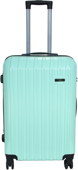 Комплект чемоданов Ridberg Discover M+S (Mint) купить в интернет-магазине icover