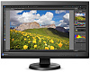 Монитор Eizo ColorEdge CS230 23" TFT IPS (Black) купить в интернет-магазине icover