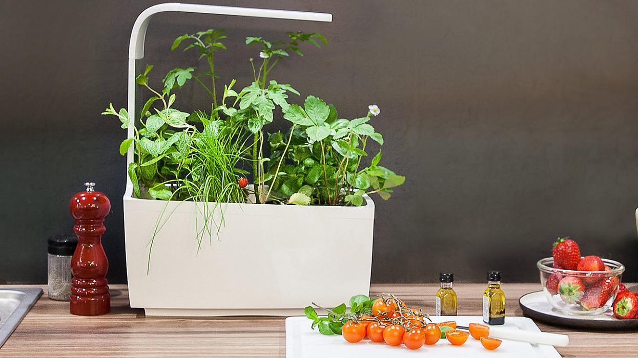 Умный сад Tregren T6 Kitchen Garden (White) купить в интернет-магазине icover