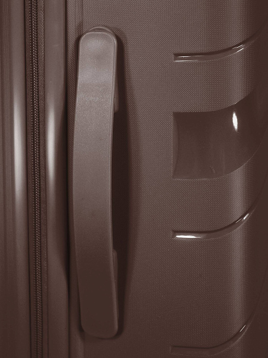Чемодан Ridberg ICON (Coffee) размер L купить в интернет-магазине icover
