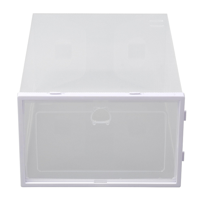 Коробки для хранения обуви Ridberg 20 шт (Transparent) купить в интернет-магазине icover
