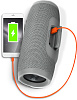 Портативная акустическая система JBL Charge 3 (Grey) купить в интернет-магазине icover