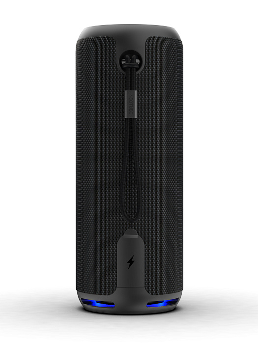 Колонка портативная W-KING D320 (Black) купить в интернет-магазине icover