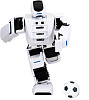Робот Leju Aelos 1EDU 1CSC20003640 (White) купить в интернет-магазине icover