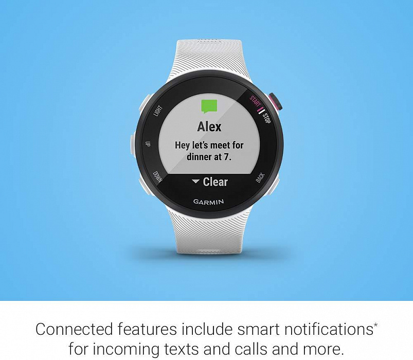 Спортивные часы Garmin Forerunner 45S 010-02156-10 (White) купить в интернет-магазине icover