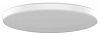 Потолочный светильник Yeelight LED Ceiling Light 650mm YLXD02YL (White) купить в интернет-магазине icover