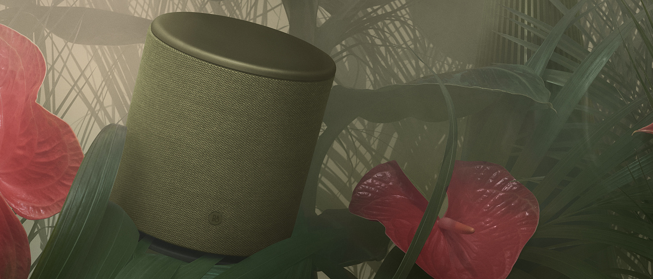 Беспроводная акустика Bang & Olufsen Beoplay M5 (Infantry Green) купить в интернет-магазине icover