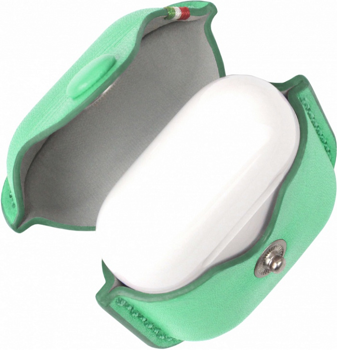 Чехол Cozistyle Cozi Leather (CLCPO007) для AirPods (Light Green) купить в интернет-магазине icover