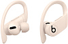 Bluetooth-наушники с микрофоном Beats Powerbeats Pro MV722EE/A (Ivory) купить в интернет-магазине icover