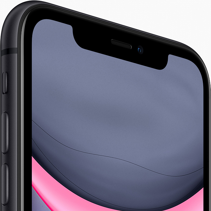 Смартфон Apple iPhone 11 128Gb MWM02RU/A (Black) купить в интернет-магазине icover