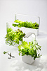 Умный сад Tregren T12 Kitchen Garden (White) купить в интернет-магазине icover